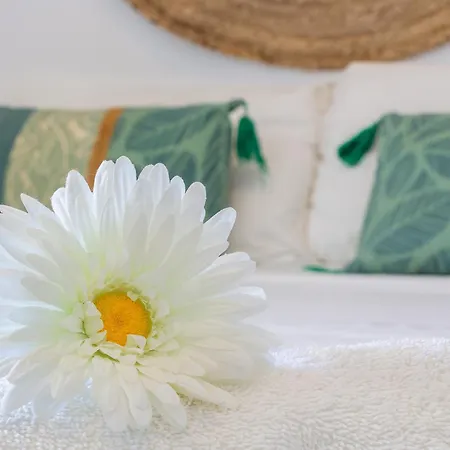 Vistamarina 201b By Ivi Real Estate