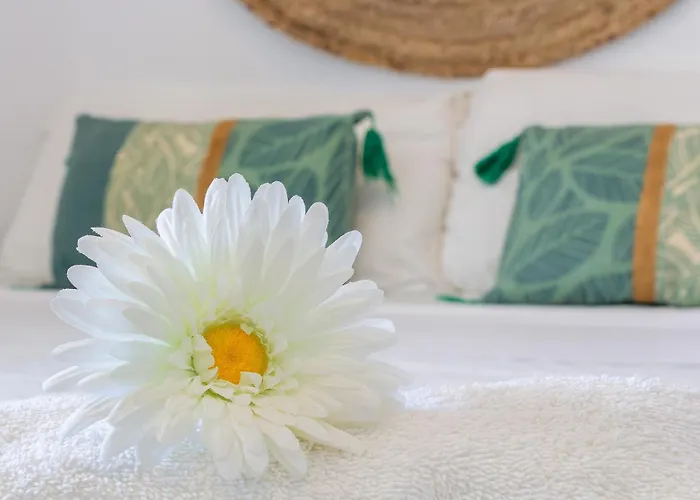 Vistamarina 201b By Ivi Real Estate